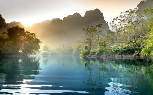 高标准科技